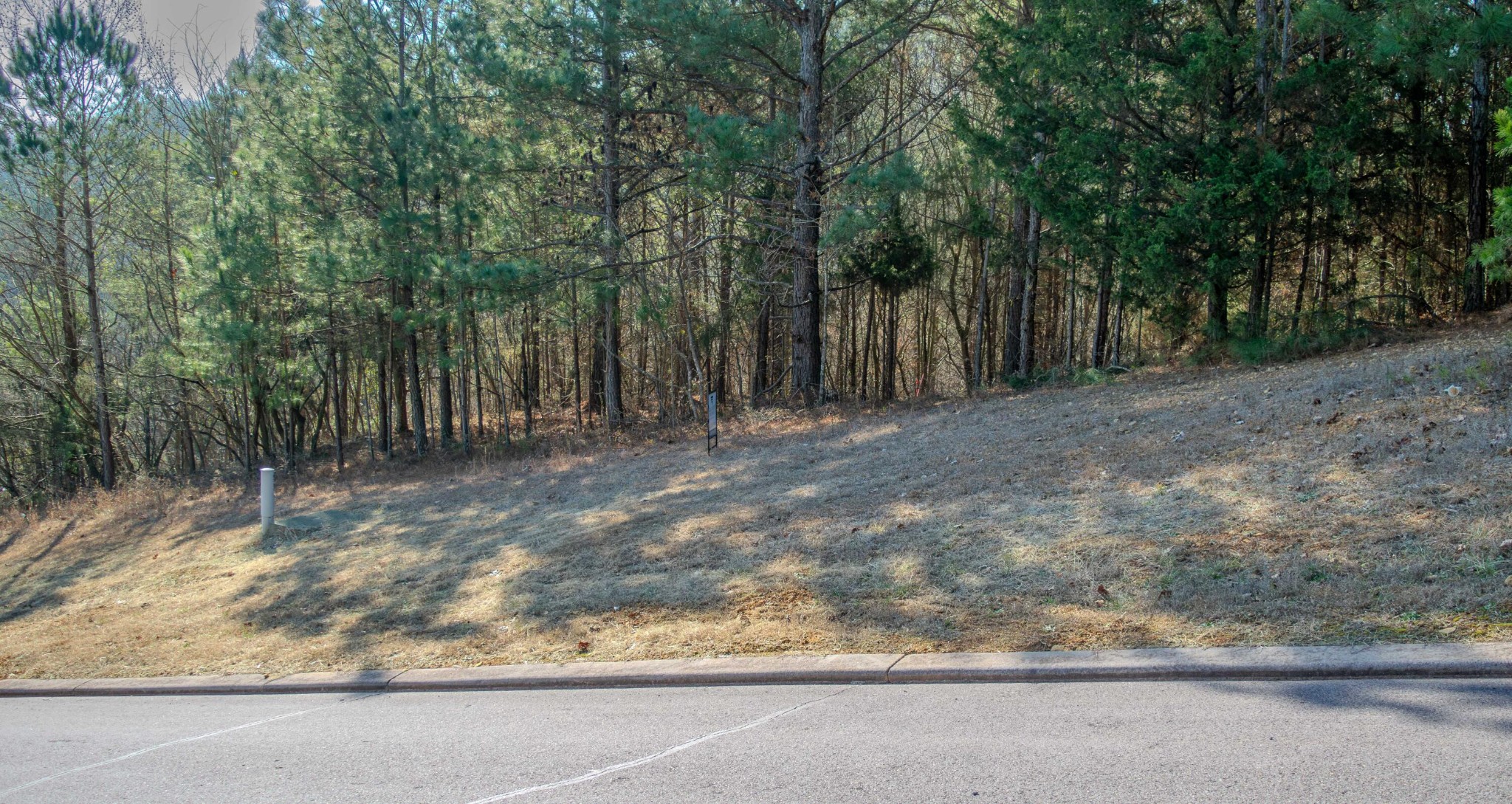 109 Cherokee Ridge Drive Ocoee, TN 37361 - Photo 13 of 22 a view of backyard with green space