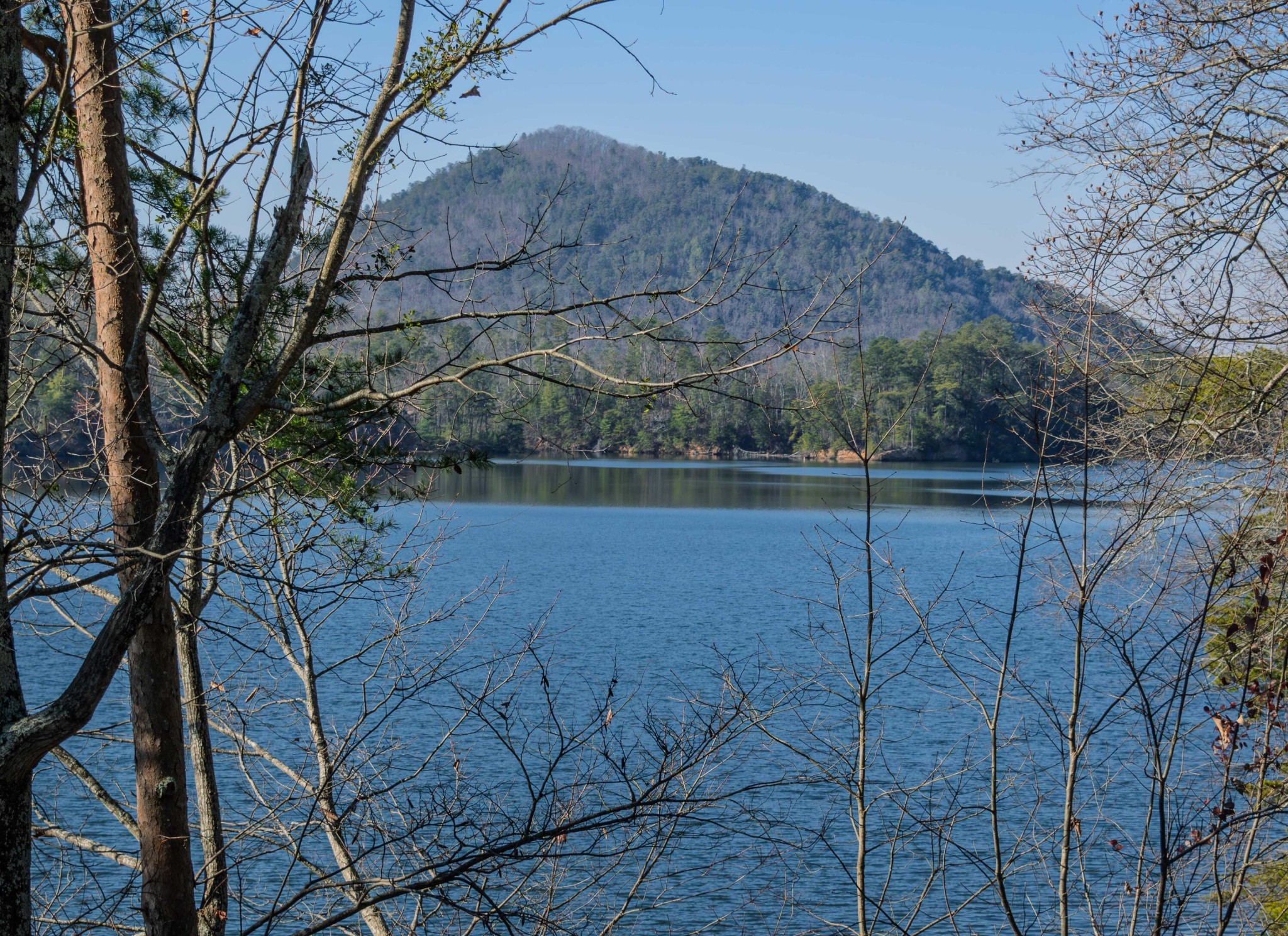 109 Cherokee Ridge Drive Ocoee, TN 37361 - Photo 14 of 22