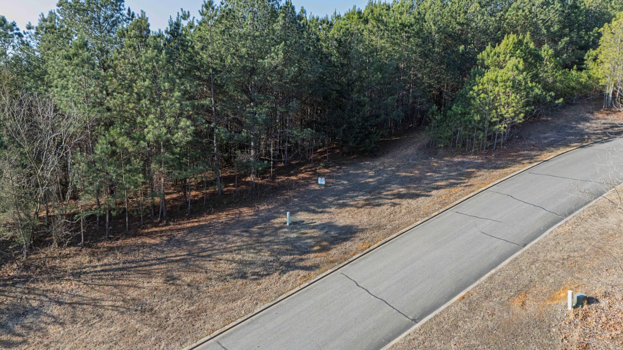 109 Cherokee Ridge Drive Ocoee, TN 37361 - Photo 20 of 22 a view of a yard with plants and large trees