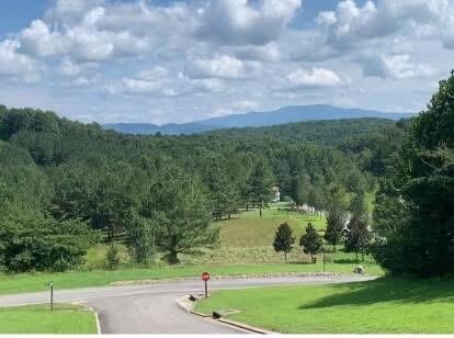 109 Cherokee Ridge Drive Ocoee, TN 37361 - Photo 3 of 22