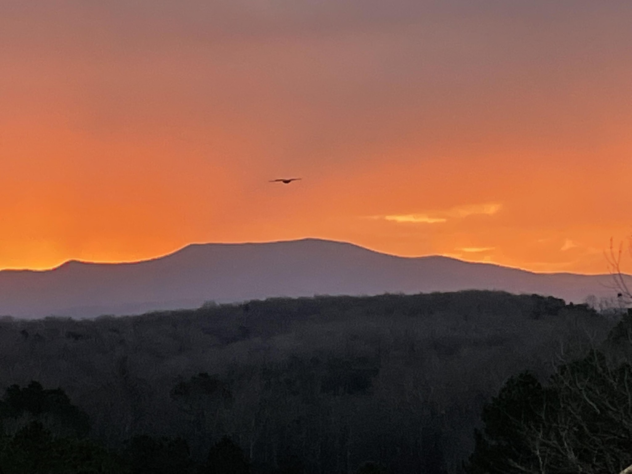 109 Cherokee Ridge Drive Ocoee, TN 37361 - Photo 6 of 22 a view of mountains in the middle of a field