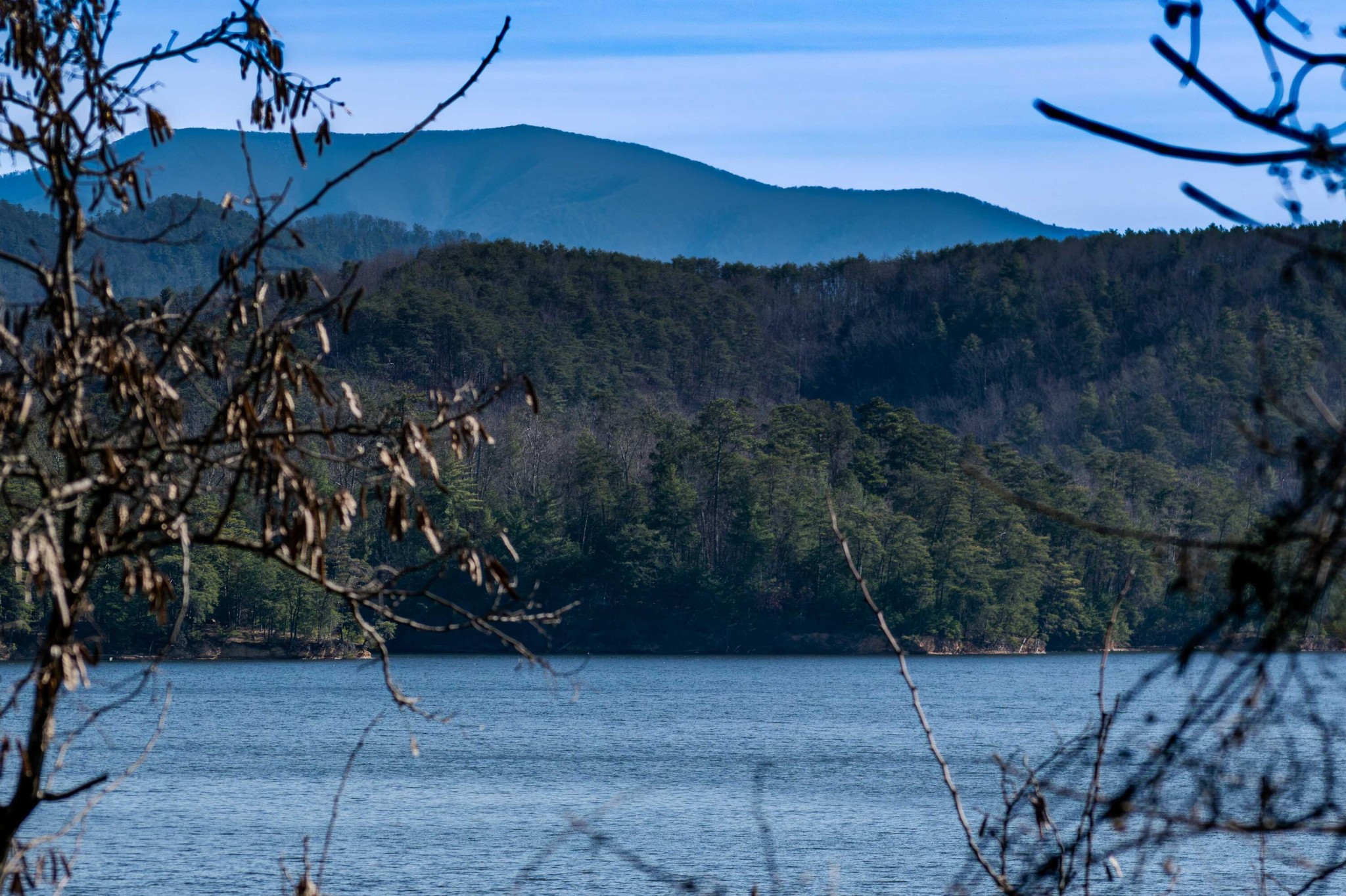 109 Cherokee Ridge Drive Ocoee, TN 37361 - Photo 9 of 22 a view of a backyard
