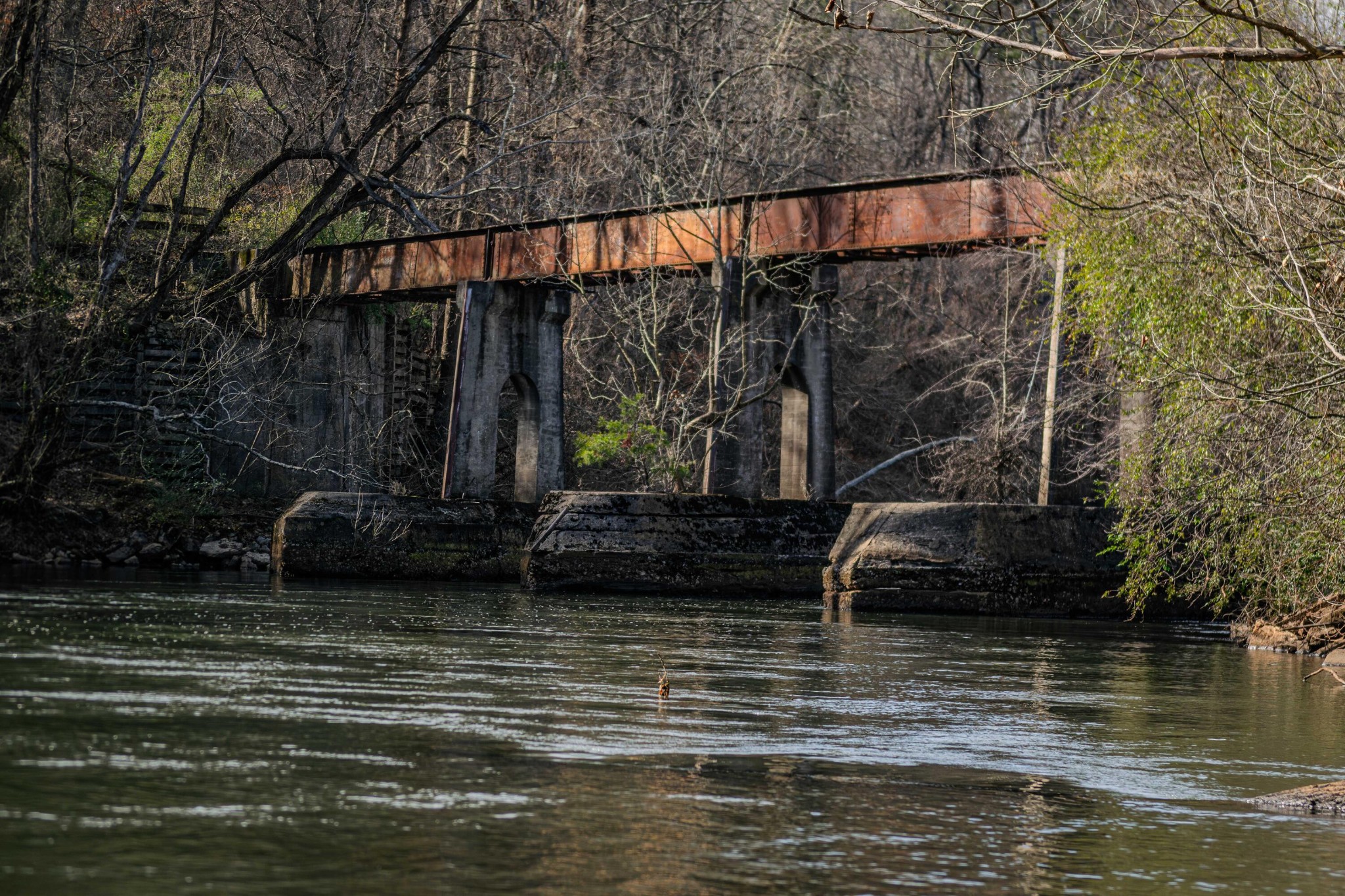 109 Cherokee Ridge Drive Ocoee, TN 37361 - Photo 10 of 22 a view of swimming pool with a yard