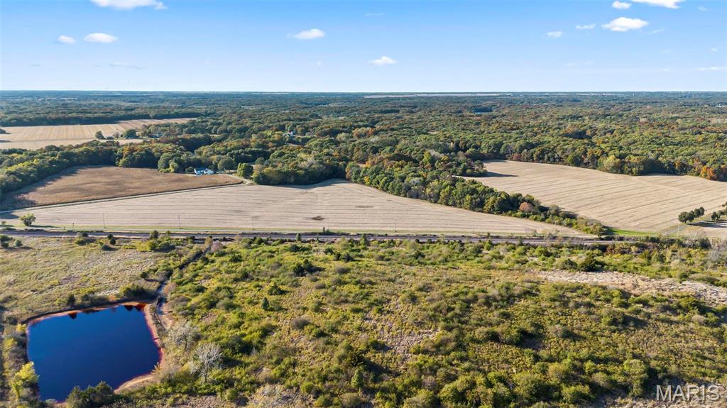 0 Herman Road Staunton, IL 62088 - Photo 5 of 20