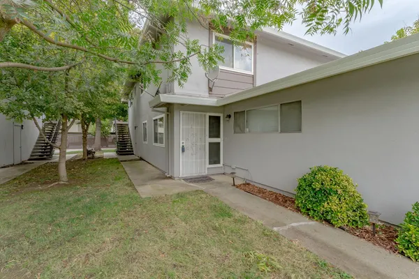 a view of a backyard with a large tree