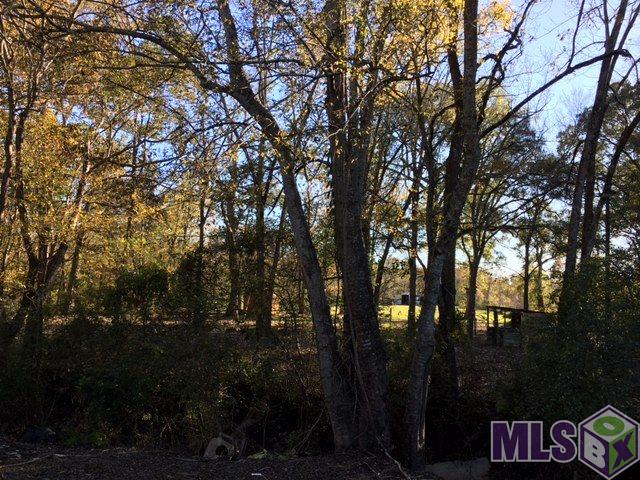 16424 Tiger Bend Road Baton Rouge, LA 70817 - Photo 6 of 9 Gallery Image 6