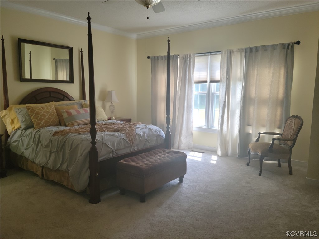 6373 Pine Slash Road Mechanicsville, VA 23116 - Photo 21 of 49 a living room with furniture and a large window