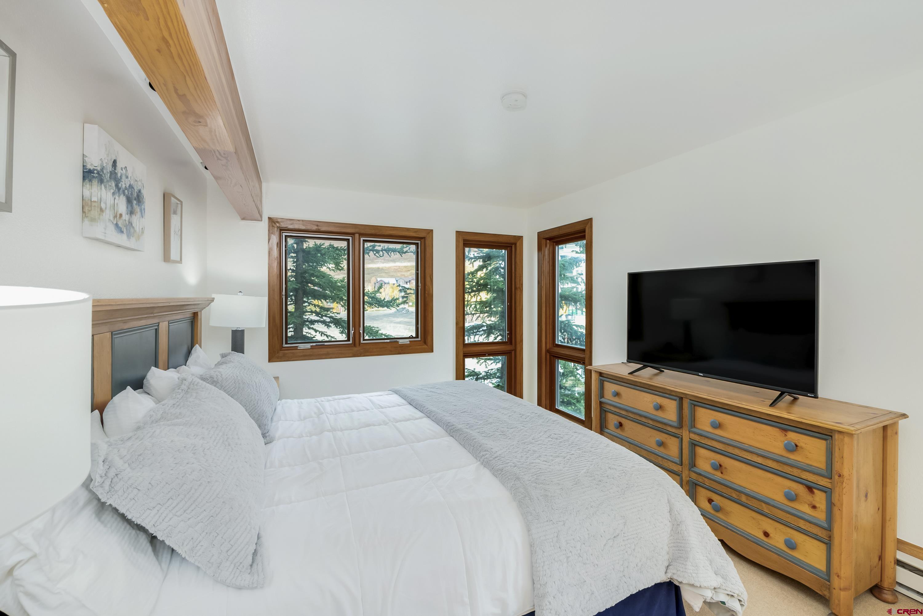 18 Snowmass Road, Unit 401 Crested Butte, CO 81225 - Photo 8 of 24 Gallery Image 8