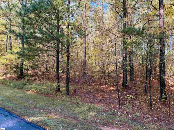 $15,000 | 102 Flamingo Point, Cross Hill, SC 29332