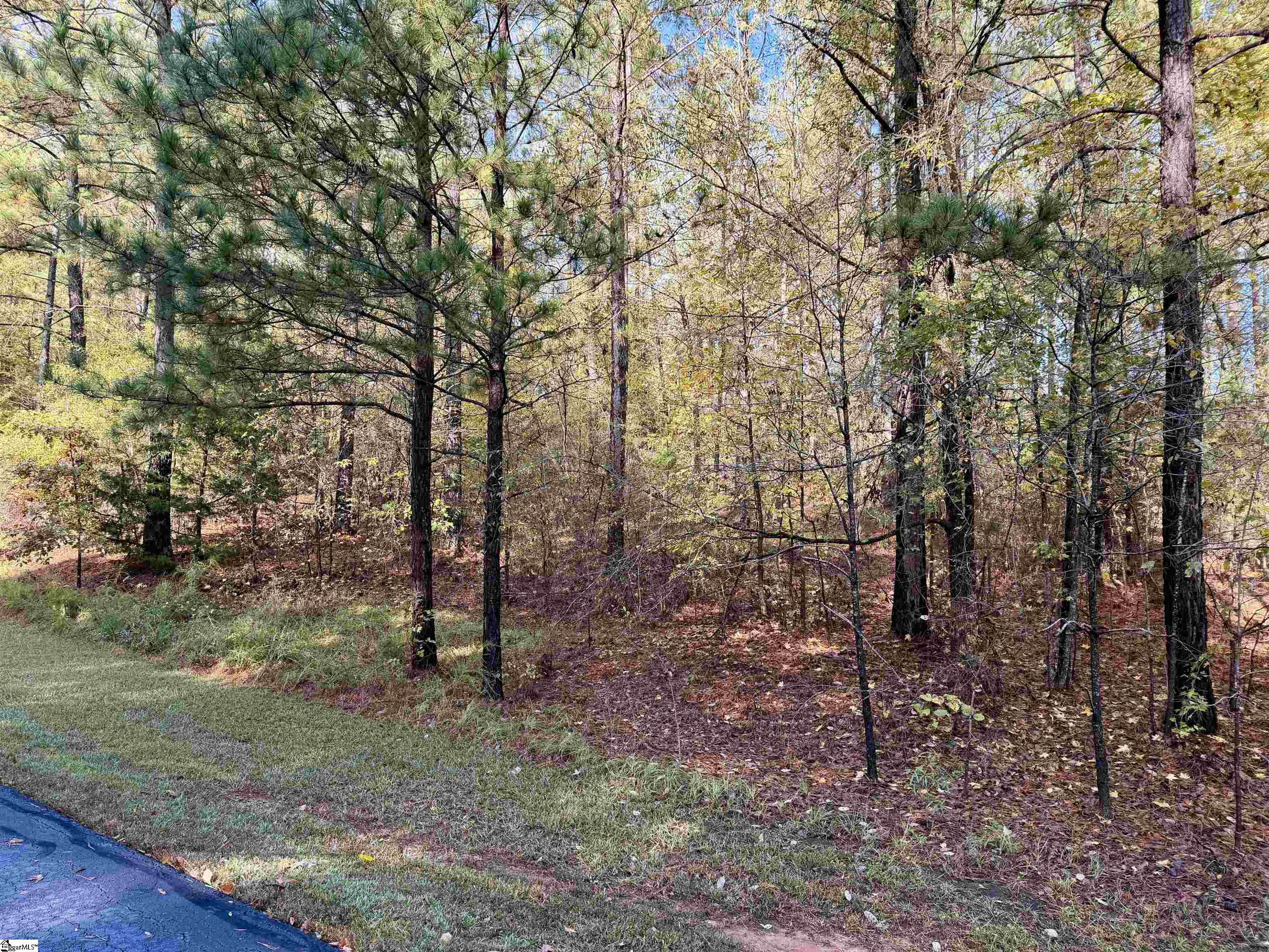 102 Flamingo Point Cross Hill, SC 29332 - Photo 2 of 24
