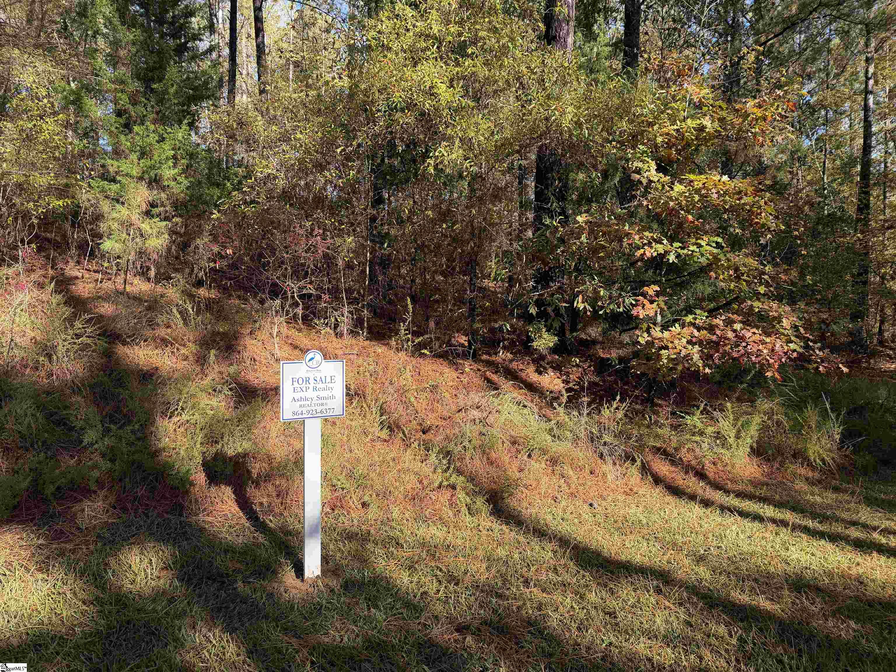 102 Flamingo Point Cross Hill, SC 29332 - Photo 3 of 24