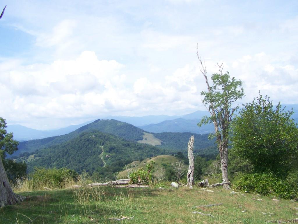 2504 Crabtree Mountain Road Clyde, NC 28721 - Photo 1 of 25 a view of a garden with mountain