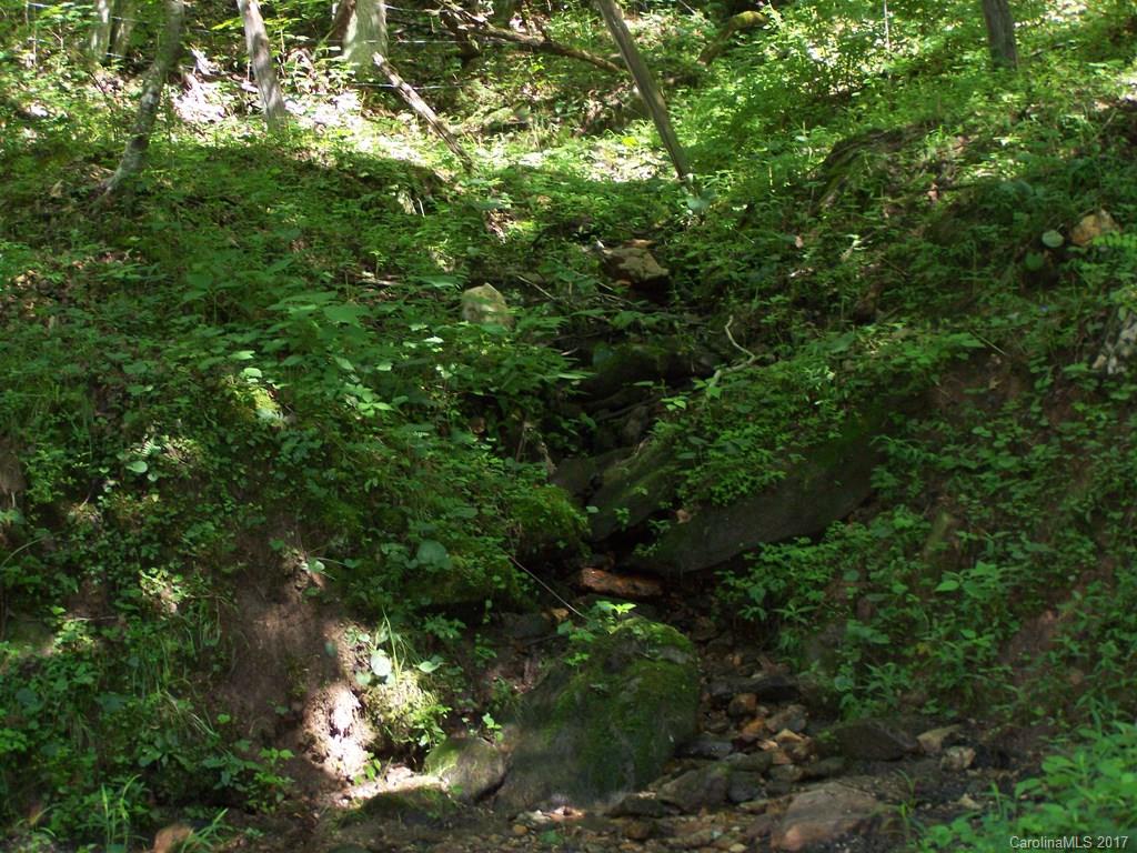 2504 Crabtree Mountain Road Clyde, NC 28721 - Photo 11 of 25 a view of a forest with a tree