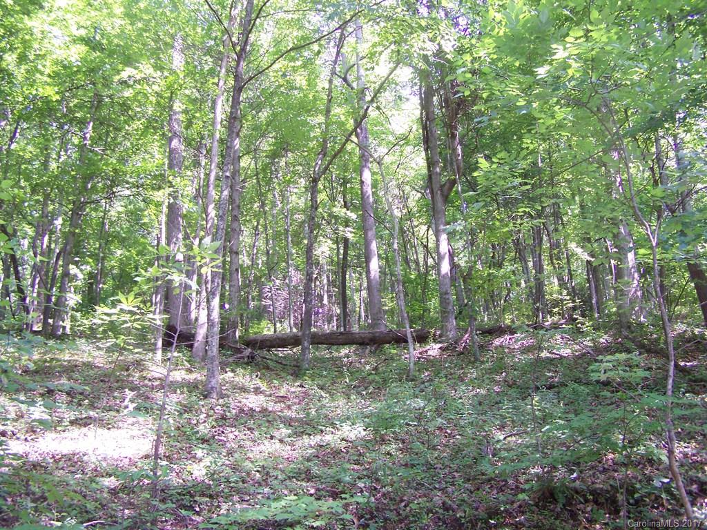 2504 Crabtree Mountain Road Clyde, NC 28721 - Photo 15 of 25 a view of outdoor space with green space