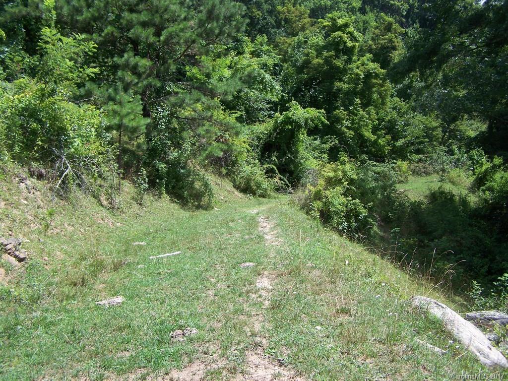 2504 Crabtree Mountain Road Clyde, NC 28721 - Photo 17 of 25 a view of a forest with a tree