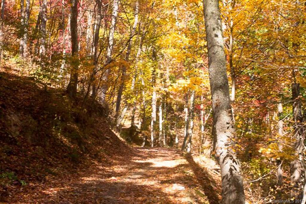 2504 Crabtree Mountain Road Clyde, NC 28721 - Photo 22 of 25 a view of a yard