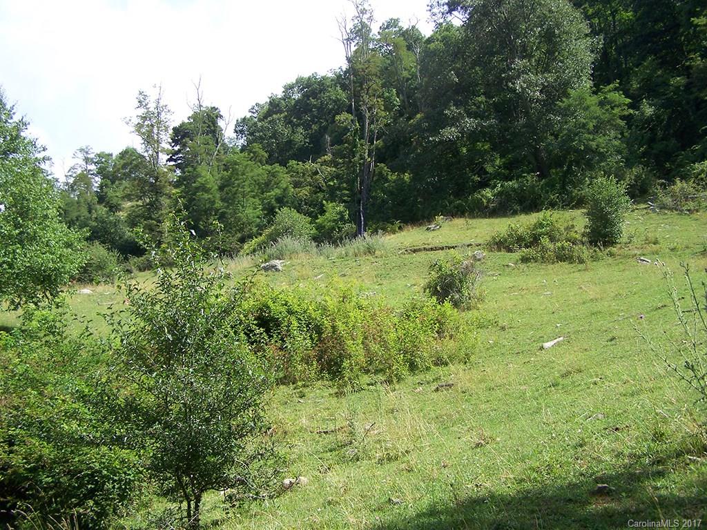 2504 Crabtree Mountain Road Clyde, NC 28721 - Photo 24 of 25 a view of a lush green space