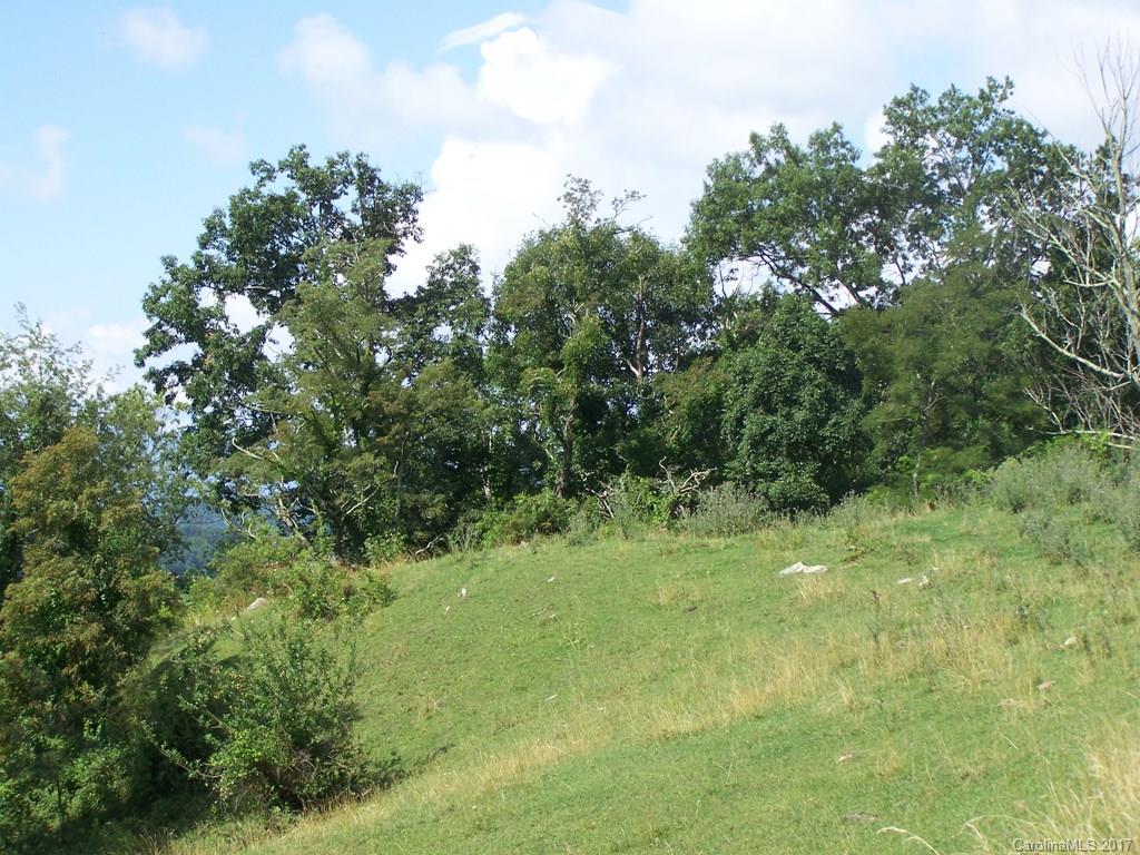 2504 Crabtree Mountain Road Clyde, NC 28721 - Photo 5 of 25 a view of a trees in a yard
