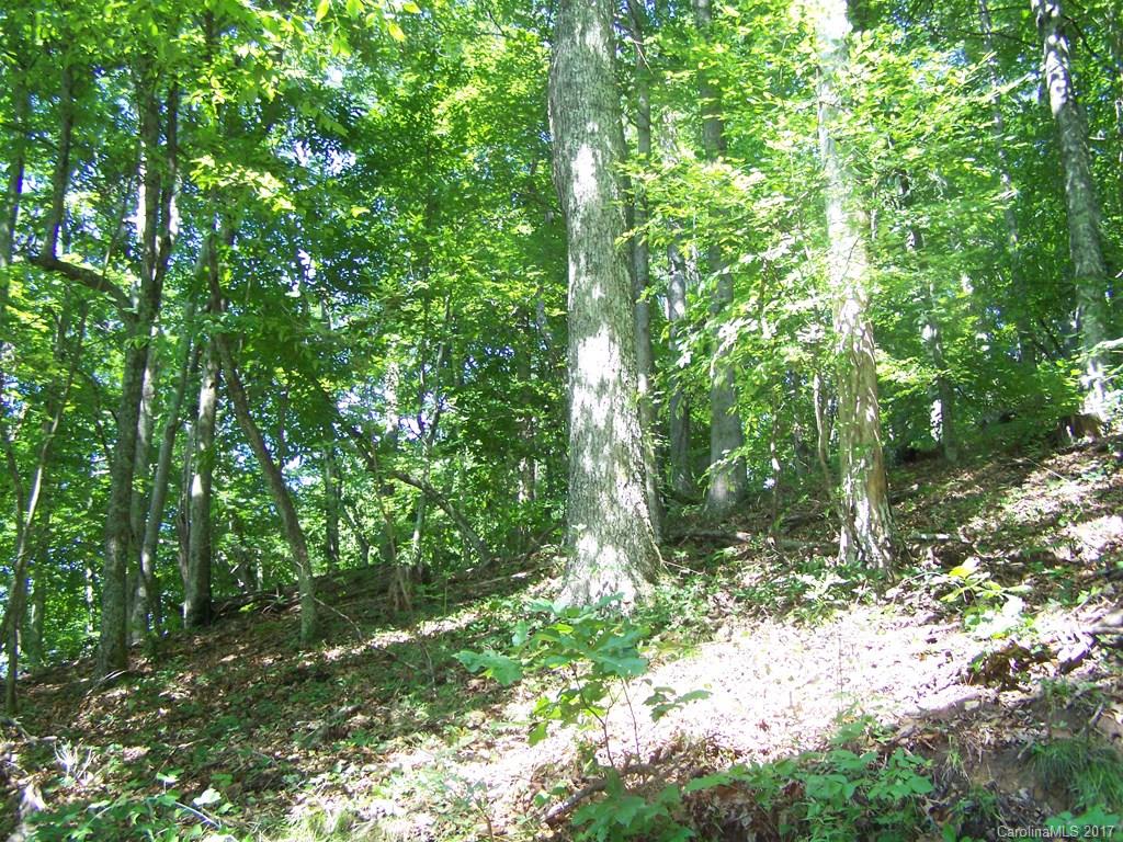 2504 Crabtree Mountain Road Clyde, NC 28721 - Photo 6 of 25 a backyard of a house with lots of green space and a fountain