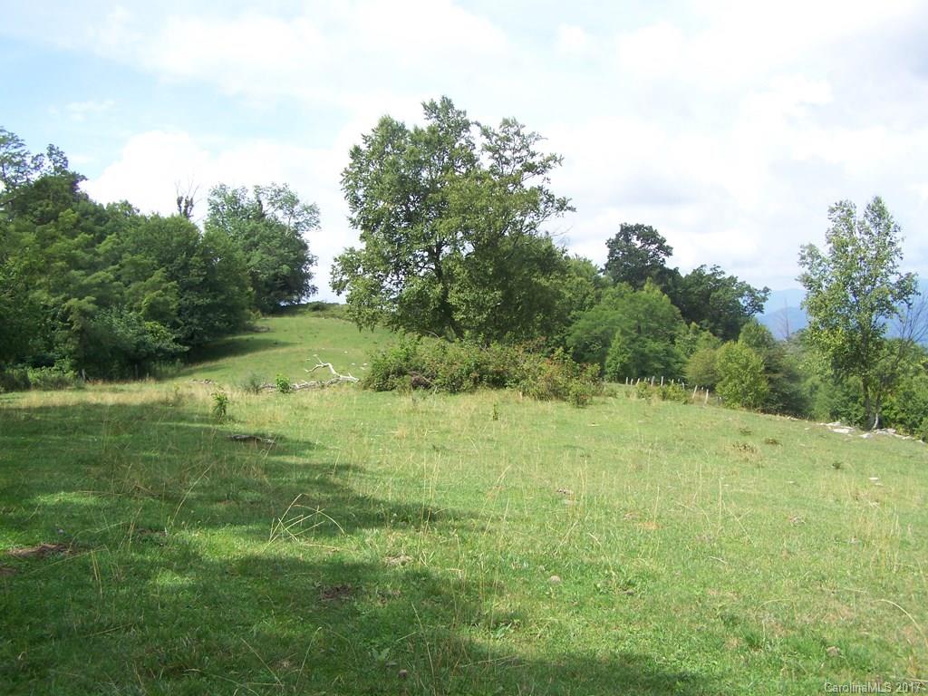 2504 Crabtree Mountain Road Clyde, NC 28721 - Photo 7 of 25 a view of outdoor space with trees all around