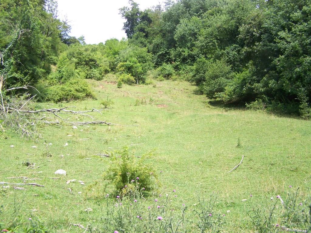 2504 Crabtree Mountain Road Clyde, NC 28721 - Photo 9 of 25 a view of a big yard with green space