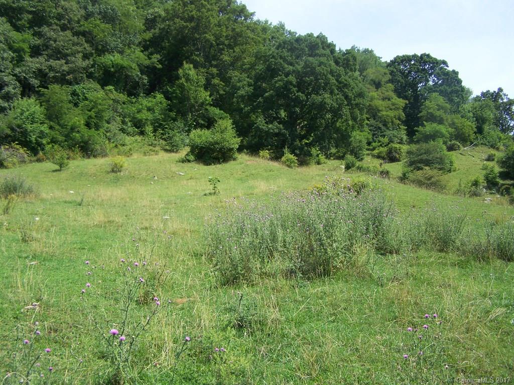 2504 Crabtree Mountain Road Clyde, NC 28721 - Photo 10 of 25 a view of a lush green forest