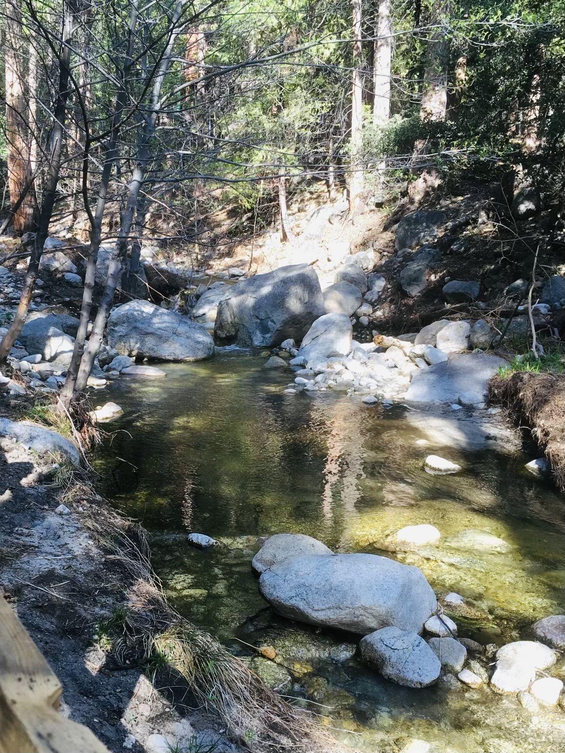 24631 Upper Rim Rock Road Idyllwild, CA 92549 - Photo 23 of 34 a view of a lake from a yard