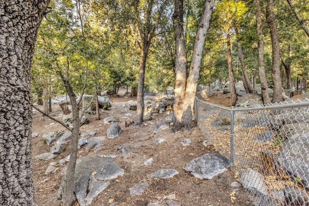 24631 Upper Rim Rock Road Idyllwild, CA 92549 - Photo 29 of 34 a view of yard