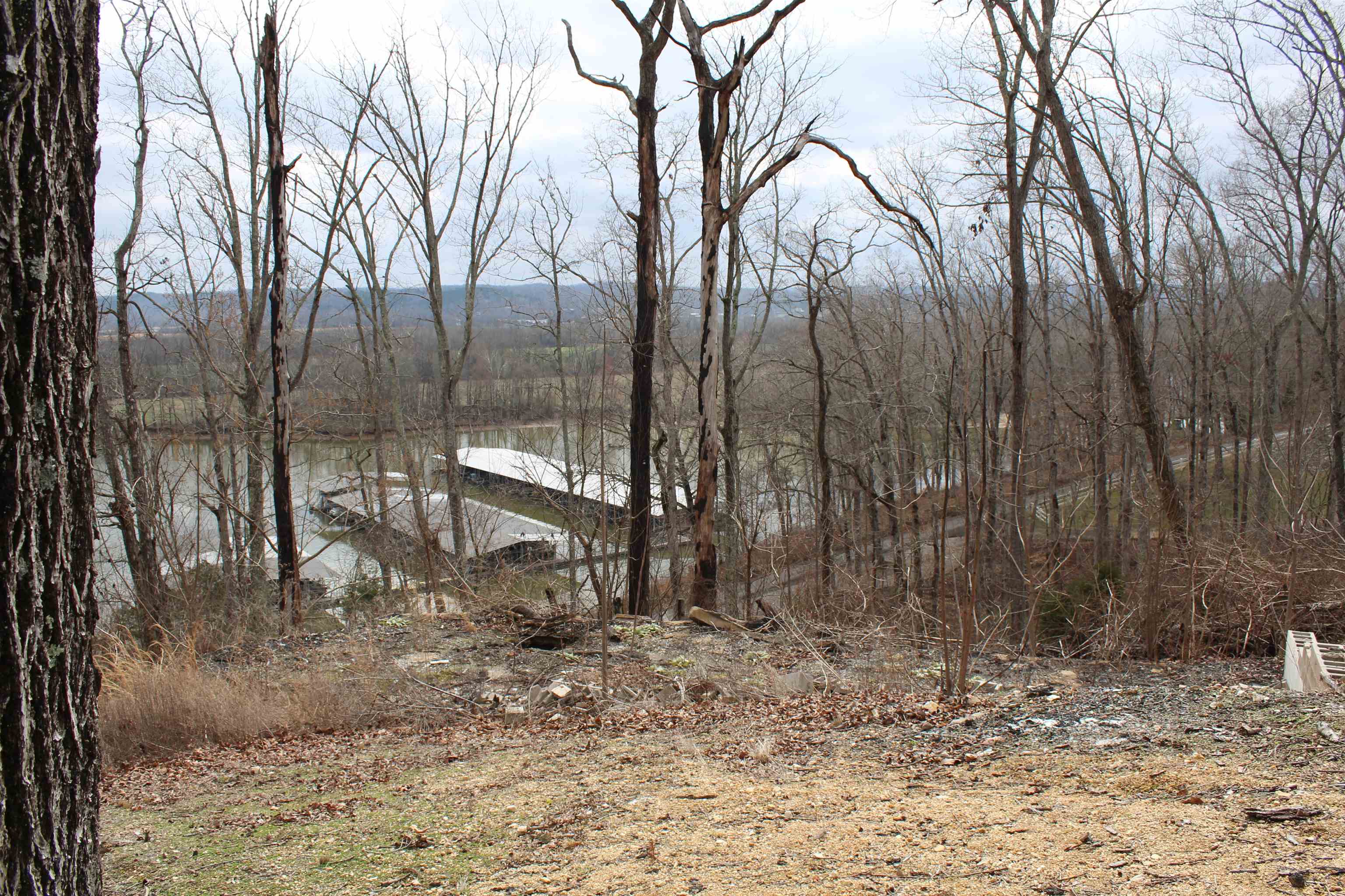 2980 Ridgeway Drive Sugar Tree, TN 38380 - Photo 13 of 25 Gallery Image 13