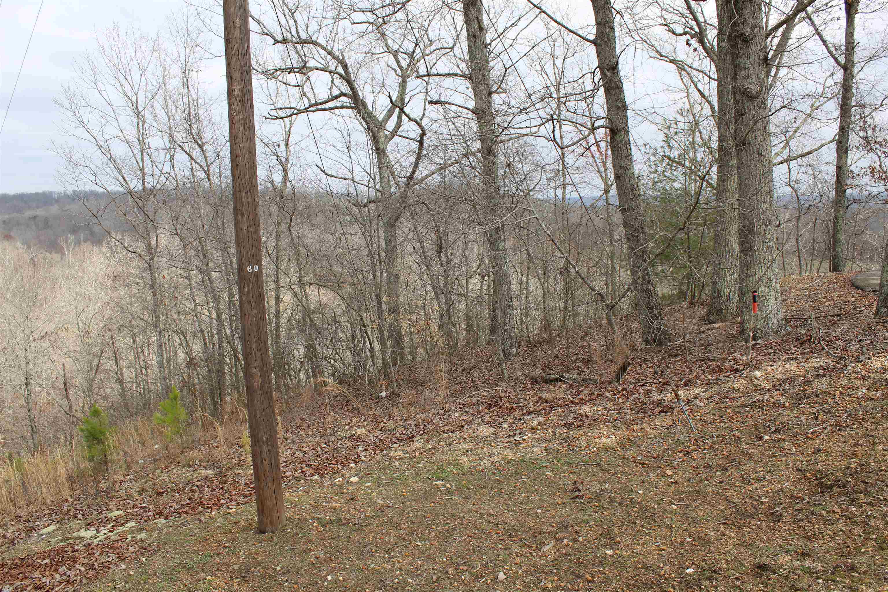 2980 Ridgeway Drive Sugar Tree, TN 38380 - Photo 19 of 25 Gallery Image 19