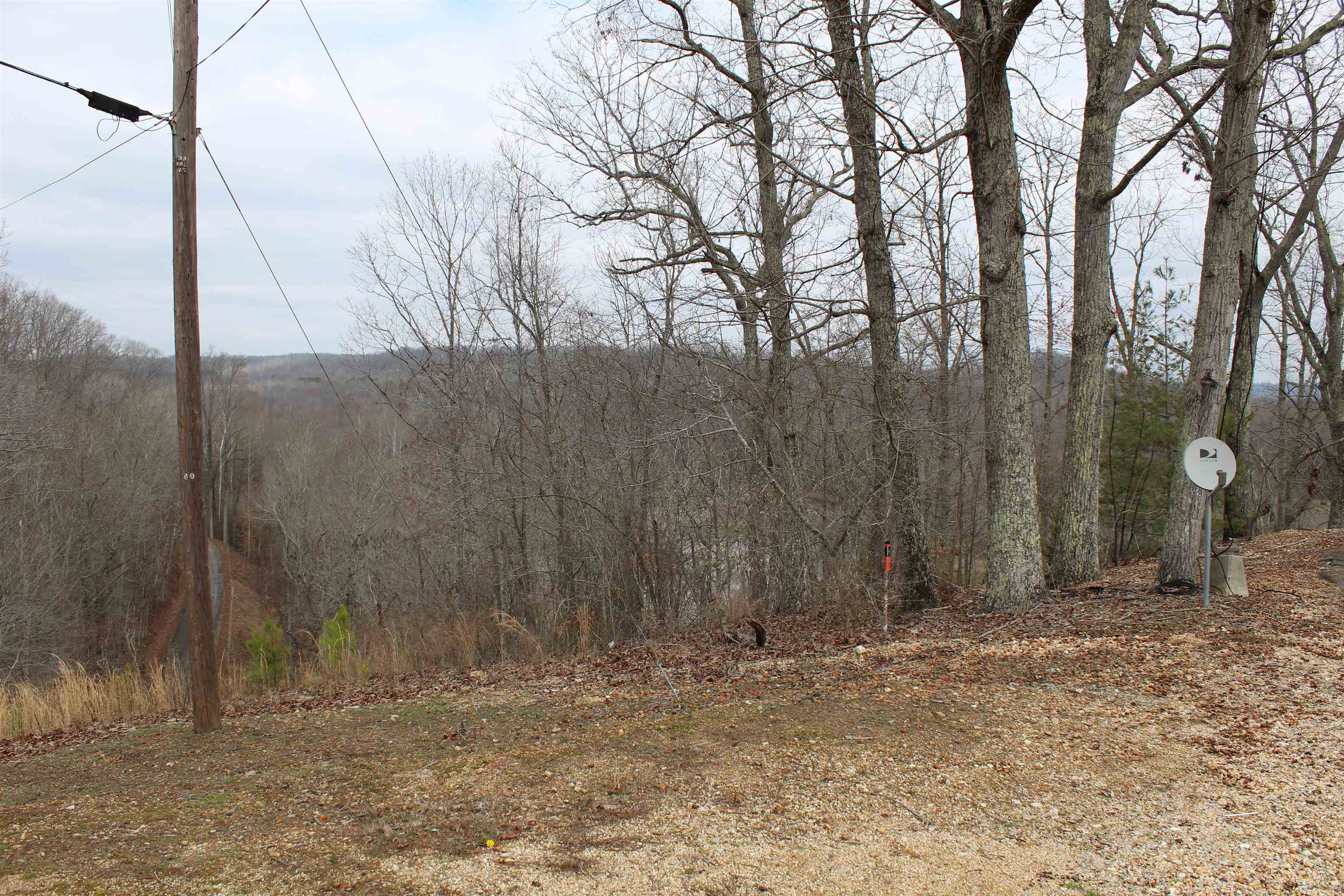 2980 Ridgeway Drive Sugar Tree, TN 38380 - Photo 21 of 25 Gallery Image 21