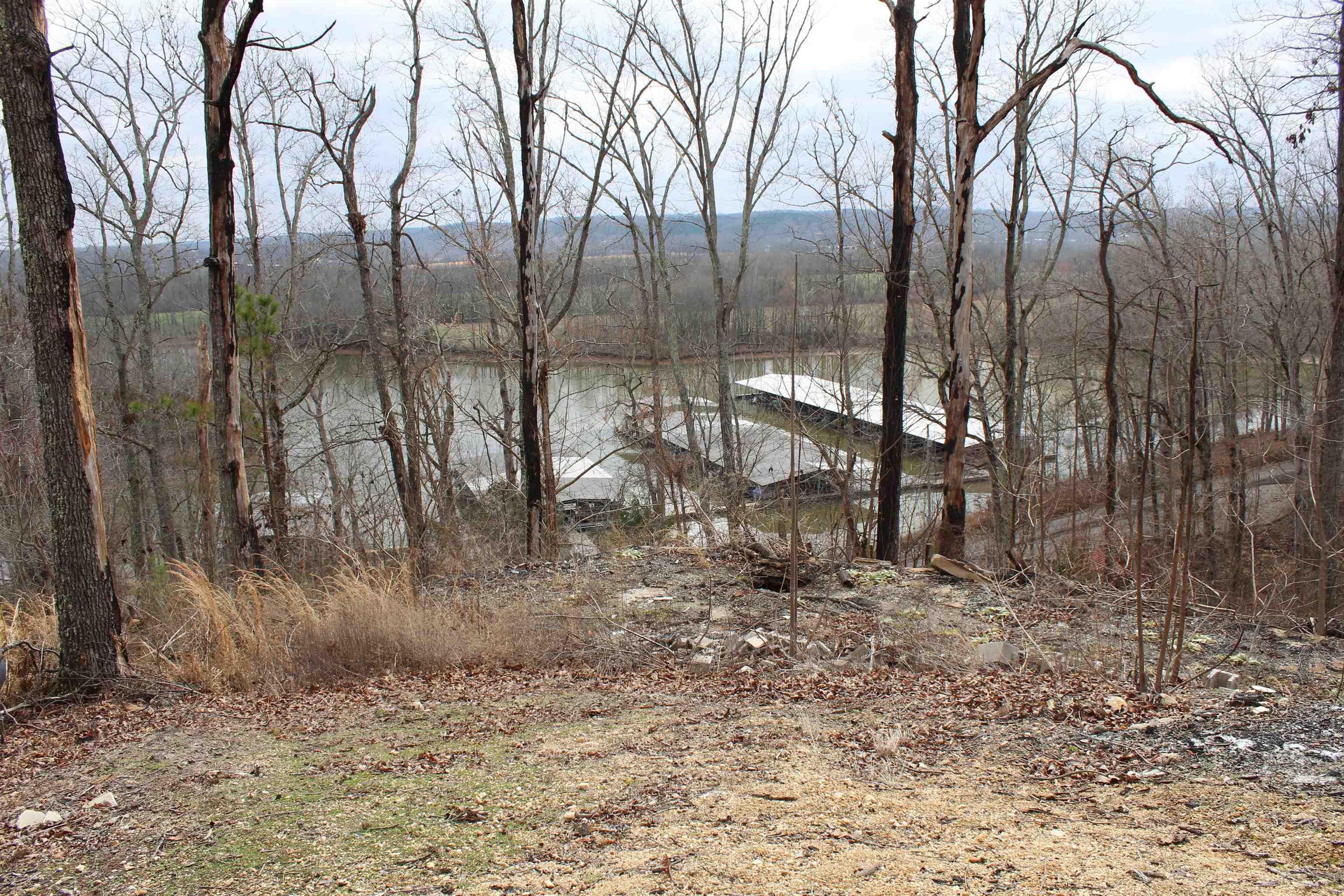 2980 Ridgeway Drive Sugar Tree, TN 38380 - Photo 4 of 25 Gallery Image 4