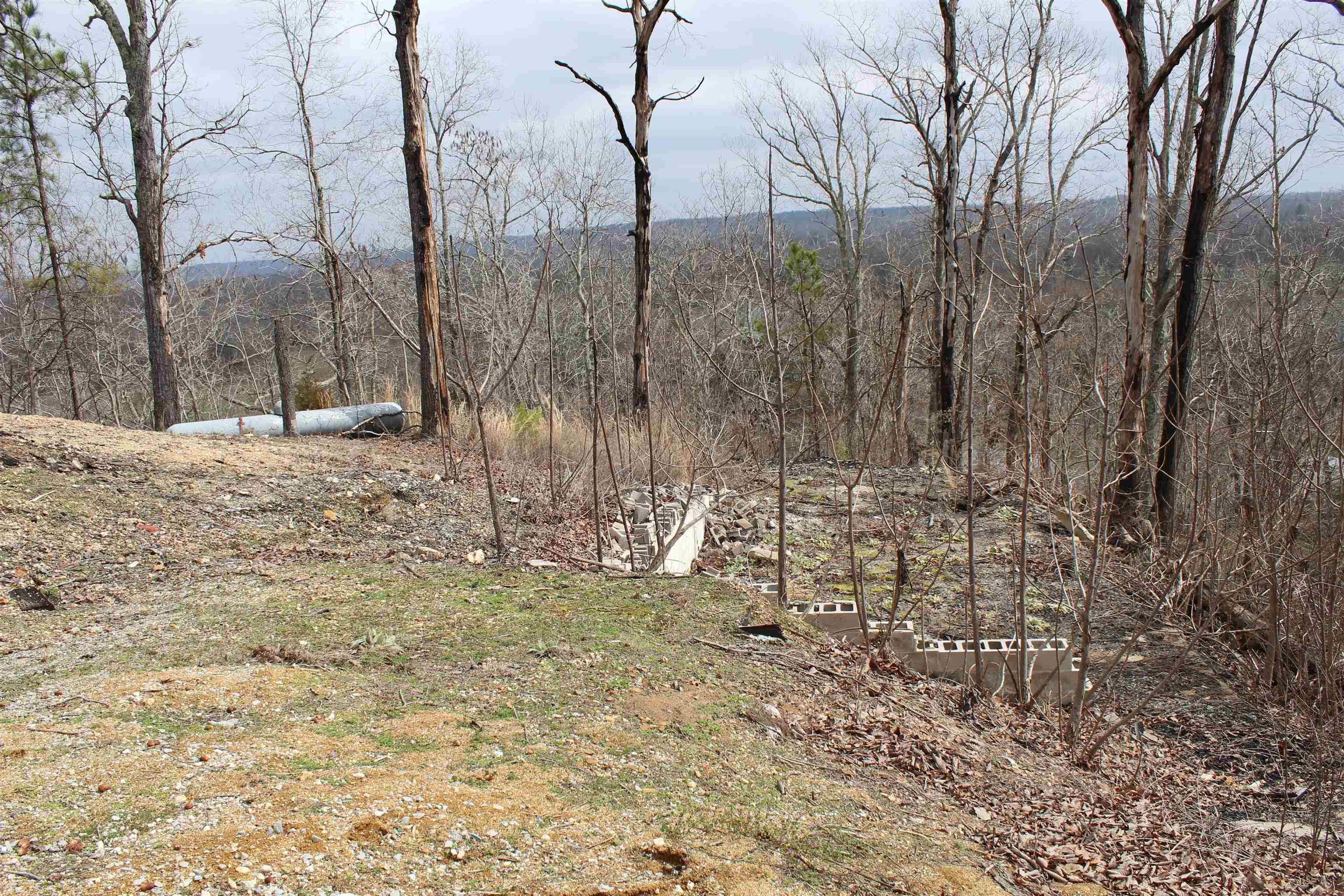 2980 Ridgeway Drive Sugar Tree, TN 38380 - Photo 5 of 25 Gallery Image 5