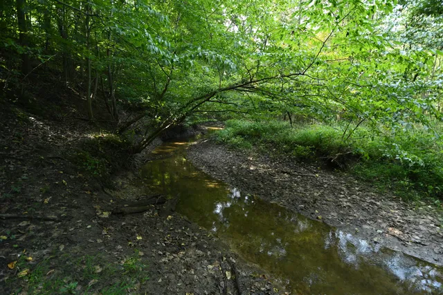 $1,195,000 | 14888 Cr 687 South Haven, Bangor, MI 49013