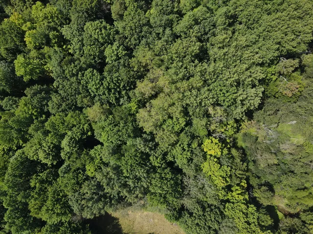 $1,195,000 | 14888 Cr 687 South Haven, Bangor, MI 49013