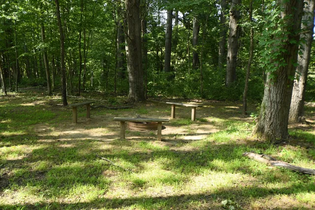 $1,195,000 | 14888 Cr 687 South Haven, Bangor, MI 49013