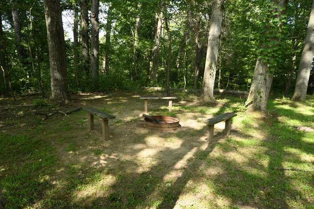 $1,195,000 | 14888 Cr 687 South Haven, Bangor, MI 49013