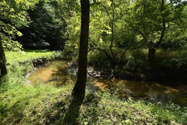 $1,195,000 | 14888 Cr 687 South Haven, Bangor, MI 49013