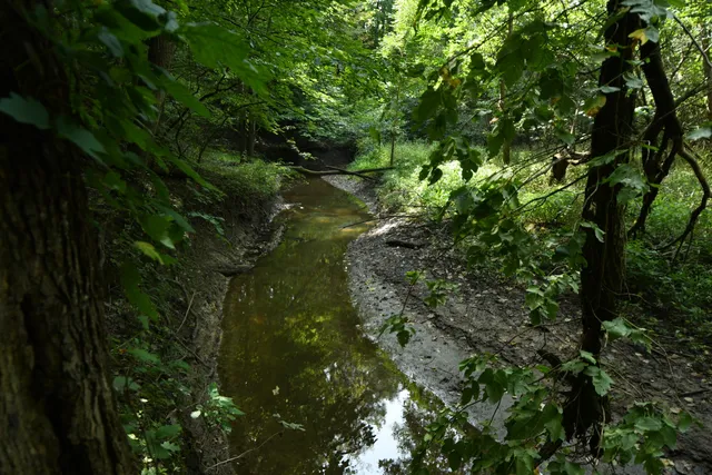 $1,195,000 | 14888 Cr 687 South Haven, Bangor, MI 49013