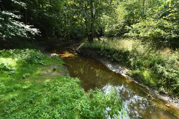 $1,195,000 | 14888 Cr 687 South Haven, Bangor, MI 49013