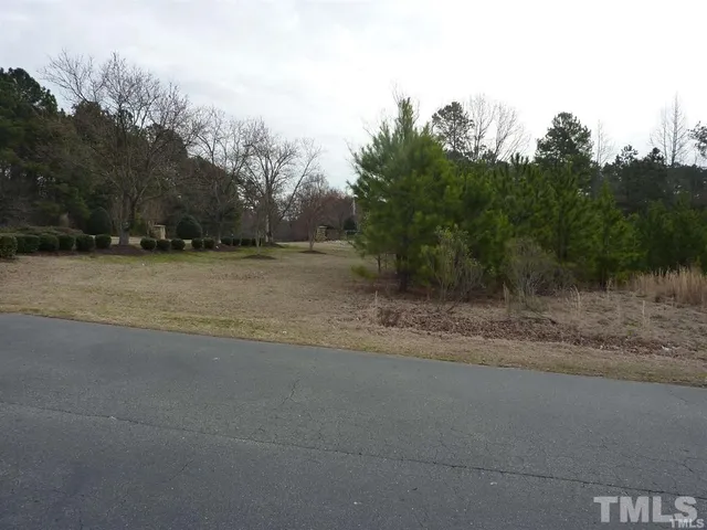 a view of a field with trees
