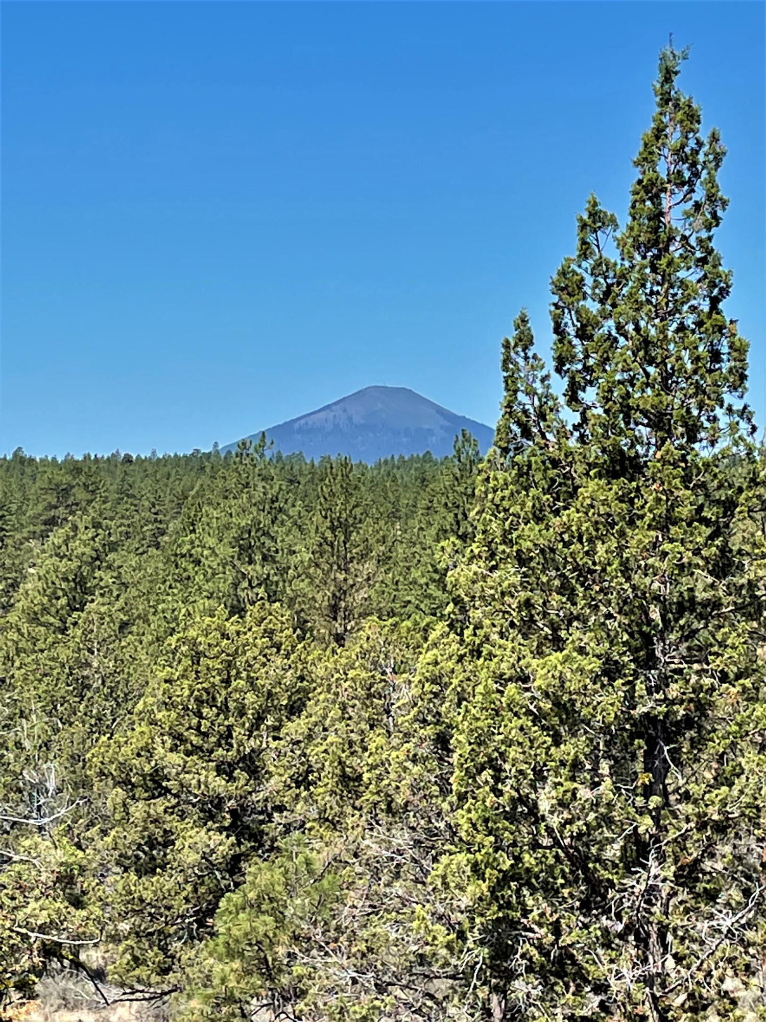 17665 Tinker Bell Road Sisters, OR 97759 - Photo 15 of 20 15
