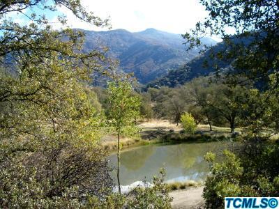 45110 Dinely Drive Three Rivers, CA 93271 - Photo 11 of 18 Additional Photo