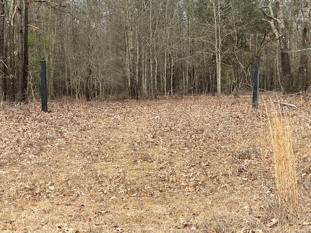 Forrest, Unit DR North, SC 29112 - Photo 3 of 6 Photo 3