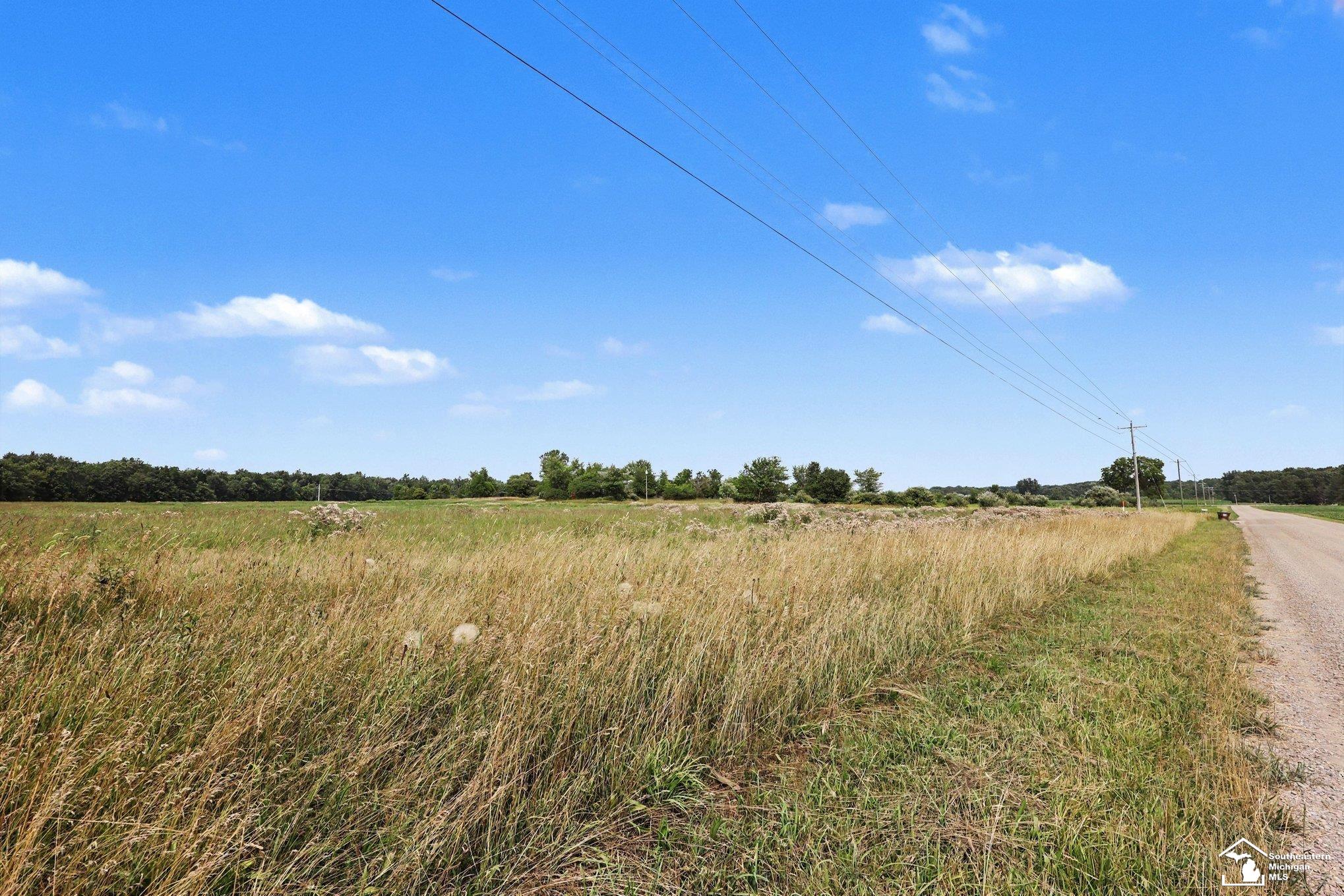 4000 Tomer Road Adrian, MI 49221 - Photo 13 of 19