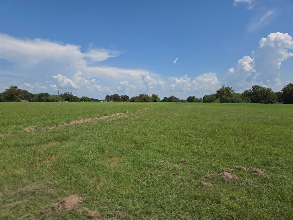 Lot 72 Tonkawa Trail Corsicana, TX 75109 - Photo 18 of 40 a view of a big yard of a house with a big yard
