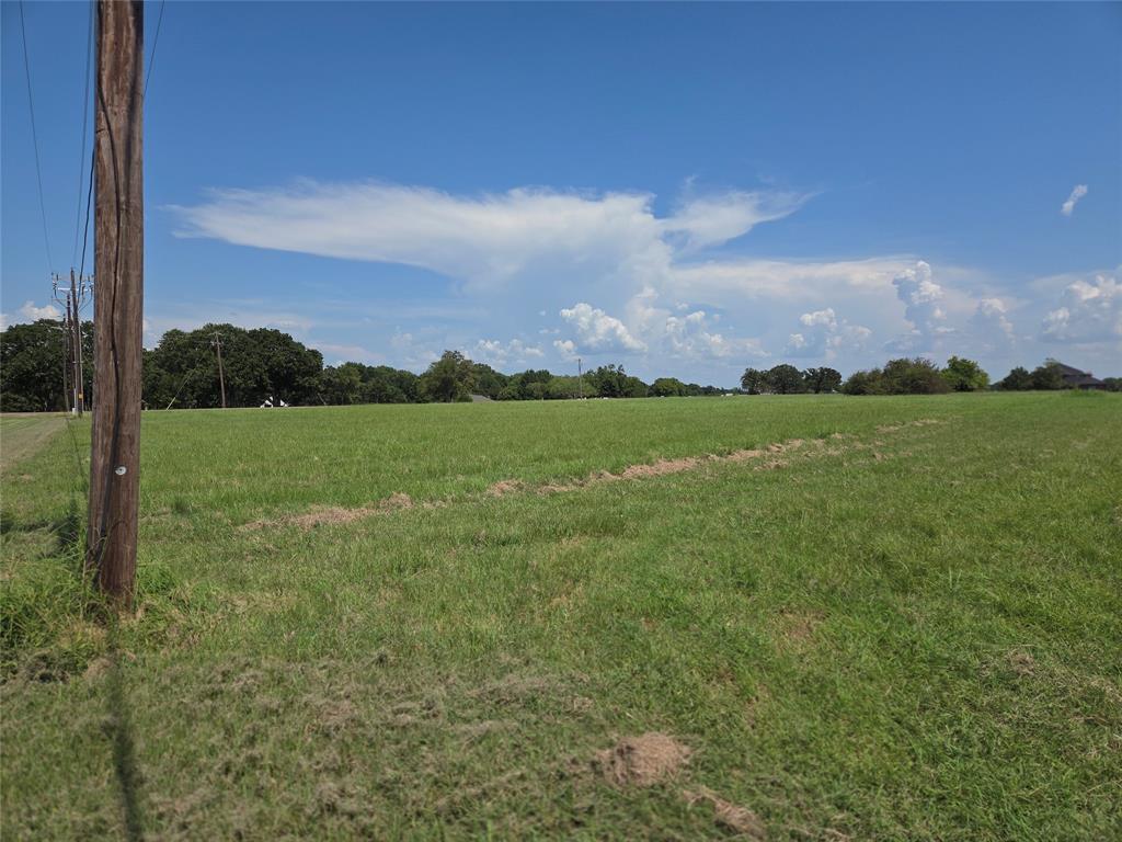 Lot 72 Tonkawa Trail Corsicana, TX 75109 - Photo 29 of 40 a view of a field with a big yard and a large trees