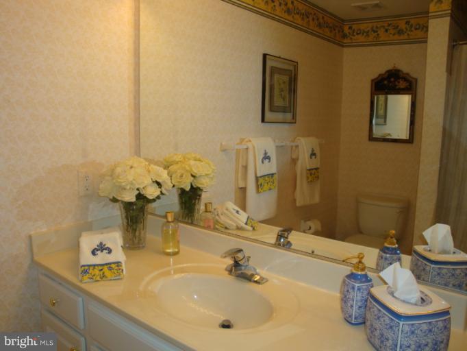 12021 Tralee Road, Unit 201 Lutherville-Timonium, MD 21093 - Photo 11 of 30 a bathroom with a sink mirror and toilet