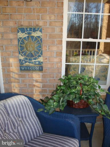 12021 Tralee Road, Unit 201 Lutherville-Timonium, MD 21093 - Photo 15 of 30 a potted plant sitting on a wooden floor