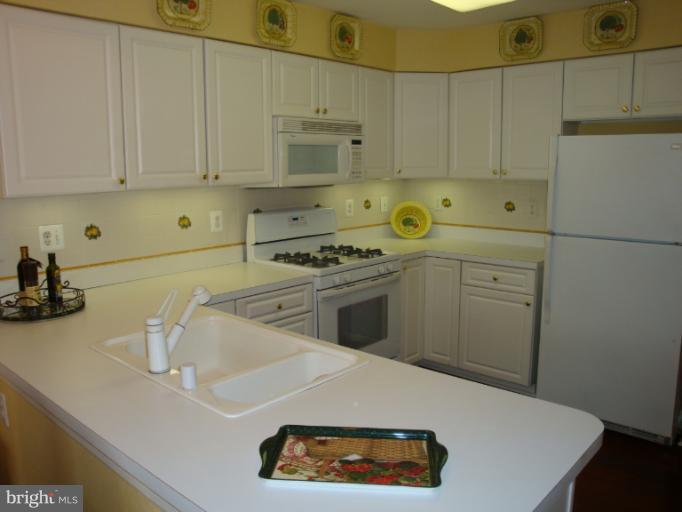 12021 Tralee Road, Unit 201 Lutherville-Timonium, MD 21093 - Photo 16 of 30 a kitchen with a sink a stove and cabinets